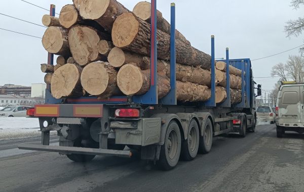 Поиск транспорта для перевозки леса, бревен и кругляка - Волгоград, цены, предложения специалистов