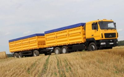 Транспорт для перевозки зерна. Автомобили МАЗ - Волгоград, заказать или взять в аренду
