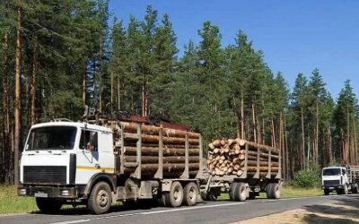 Лесовозы для перевозки леса, аренда и услуги. - Жирновск, заказать или взять в аренду