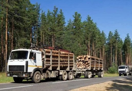 Лесовоз Лесовозы для перевозки леса, аренда и услуги. взять в аренду, заказать, цены, услуги - Жирновск