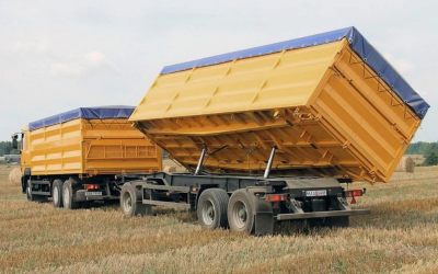 Услуги зерновозов для перевозки зерна - Волгоград, цены, предложения специалистов